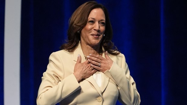 US Vice President Kamala Harris was described as a “super fan” at The Simpsons panel.