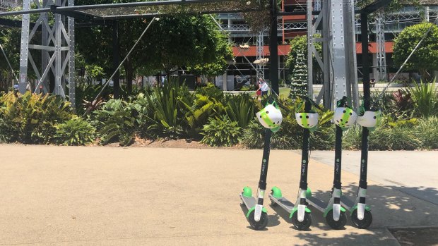 Lime scooters at Gasworks at Newstead after a temporary permit allowed the company to start operating in Brisbane without users facing hefty fines.