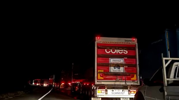 A crime scene on the Logan Motorway had trucks and cars waiting hours to pass through after a man was struck by a vehicle.