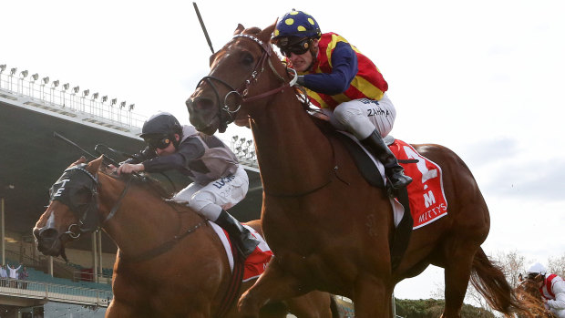 In the Everest: Mark Zahra drives Nature Strip to victory in the McEwen Stakes on Saturday.