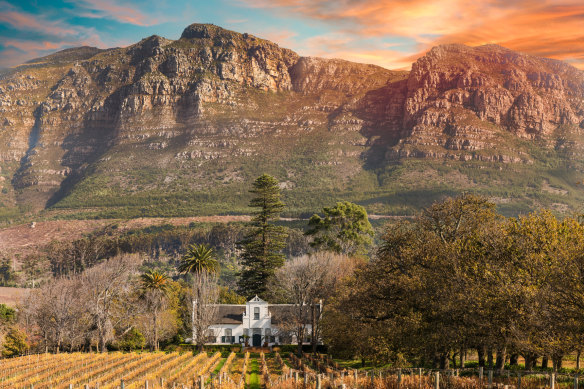 Wine is so cheap in South Africa, a top-notch bottle in a fine-dining restaurant could cost as little as $50.