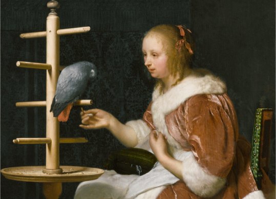 Detail from Frans van Mieris’ A Young Woman Feeding a Parrot, 1663. The categories of behaviour we share make us humans a strong candidate to be described as a “strangely featherless bird”. 