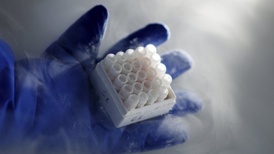 Mesoblast shares bounced after a tough end to 2020, when shares were savaged after news its COVID-19 trial was unsuccessful. 