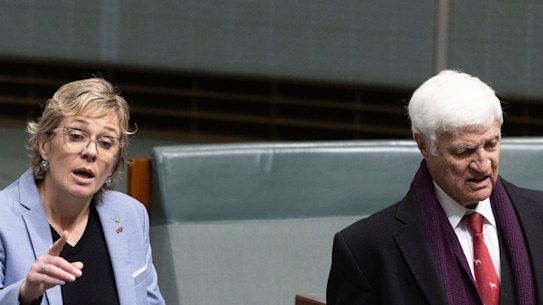 Will teal MP Zali Steggall step up to be the next crossbench whip?