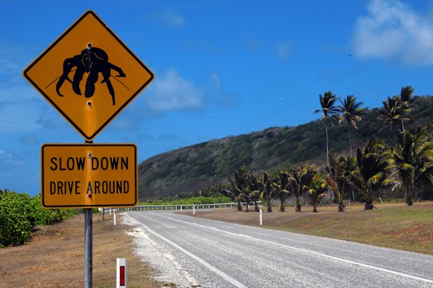 A road warning sign featuring a black silhouette of a crab on Christmas Island.