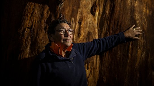 Aunty Cheryl Drayton will be voting No in the Voice referendum.