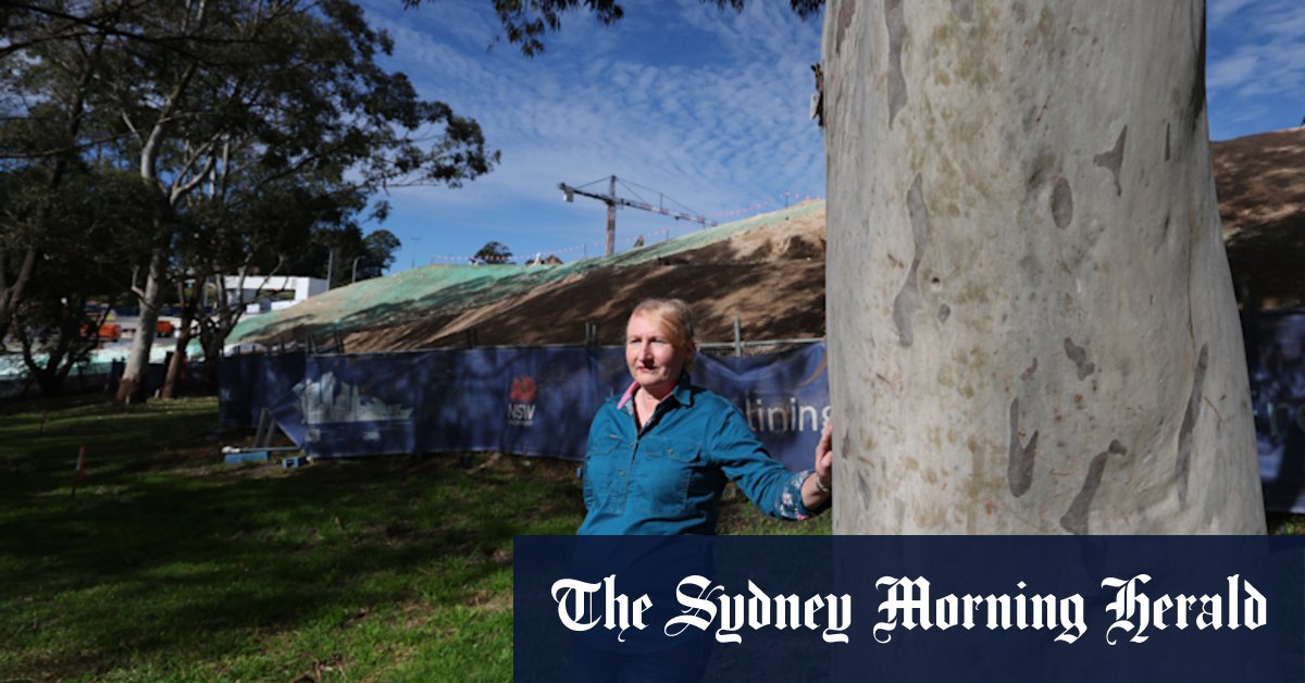 Sydney was promised 6000 trees. There’s nowhere to plant them