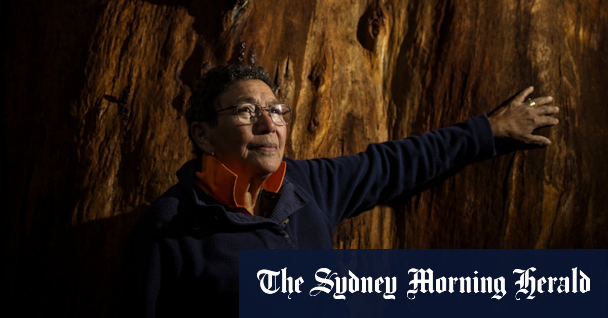 Voice to parliament: Aunty Cheryl Drayton has convinced Monash MP Russell Broadbent to vote No - Vimarsana News