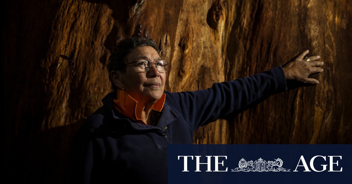 Voice to parliament: Aunty Cheryl Drayton has convinced Monash MP Russell Broadbent to vote No - Vimarsana News