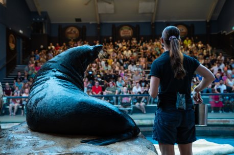 South-east Queensland zoos to visit