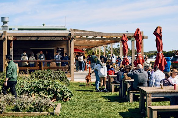Stop by Hawkes Farm for coffee, fresh produce and hot chips.