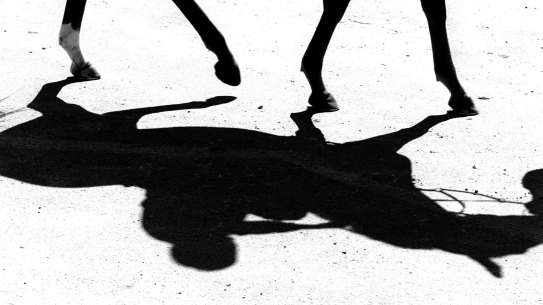 Larkspur Run has been very honest, beating all bar the winner in two runs at Canterbury, and better suited here in race four trailing the speed on a much bigger track.