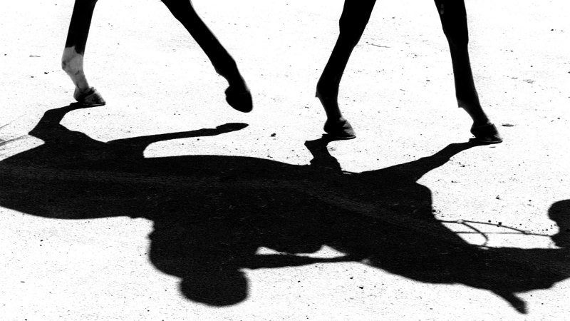 Race-by-race tips and previews for Dubbo on Sunday