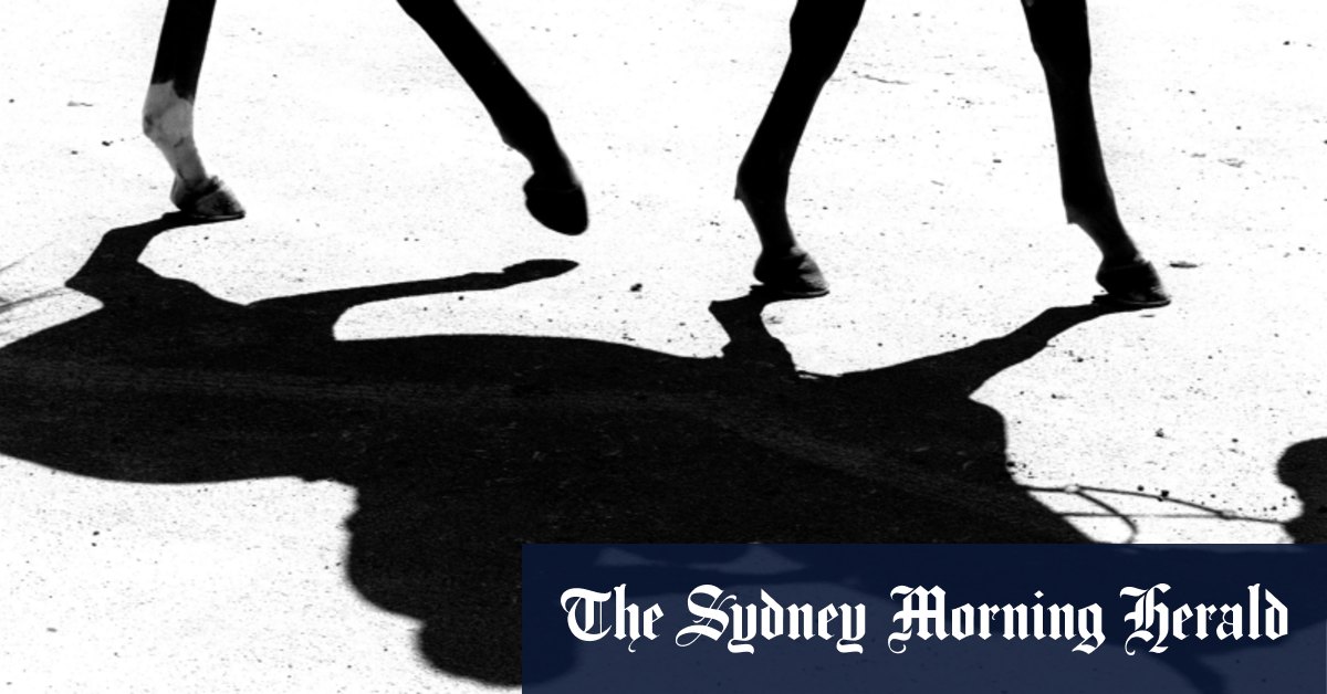Tips and race-by-race guide for Port Macquarie on Monday