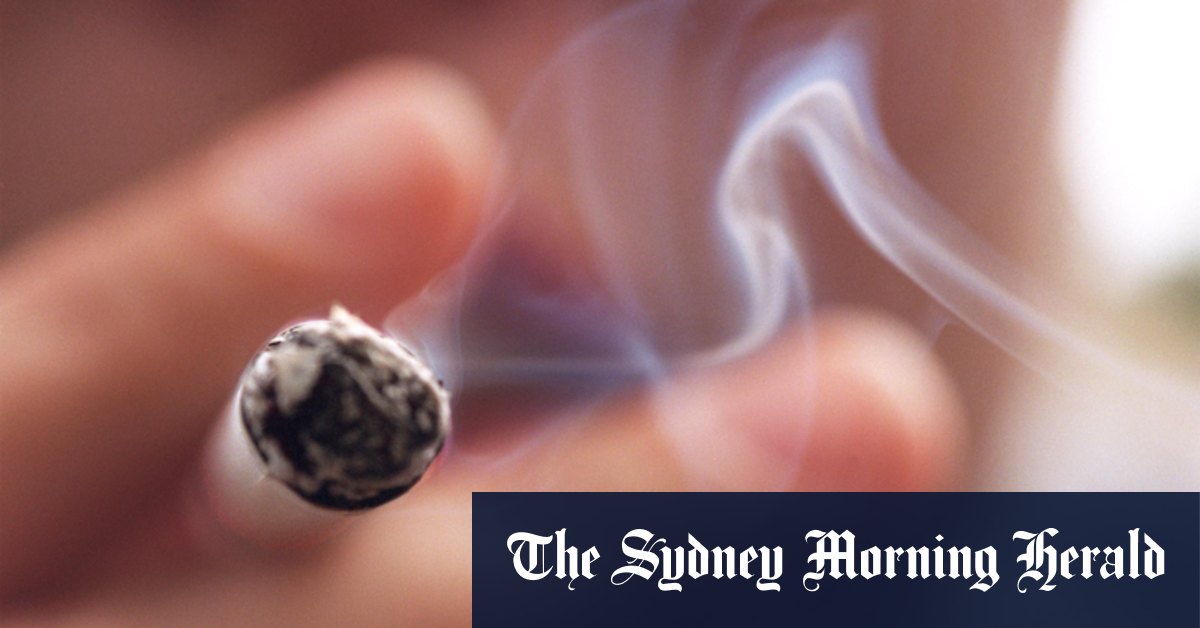 Tobacco endgame: Australia urged to follow New Zealand's lead on smoking laws - Vimarsana News