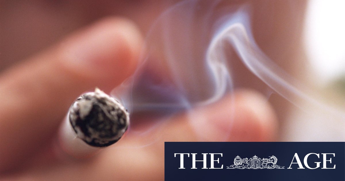 Tobacco endgame: Australia urged to follow New Zealand's lead on smoking laws - Vimarsana News