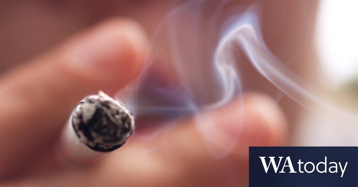 Tobacco endgame: Australia urged to follow New Zealand's lead on smoking laws - Vimarsana News