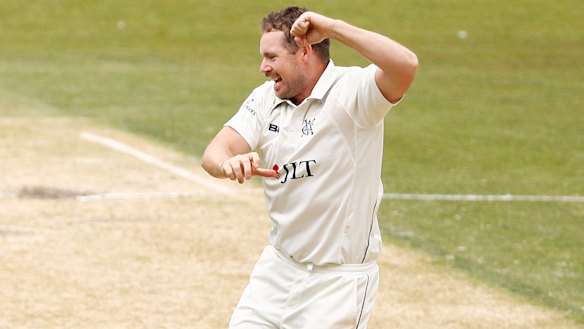 In the groove: Spinner Jon Holland celebrates after dismissing Western Australia's William Bosisto.