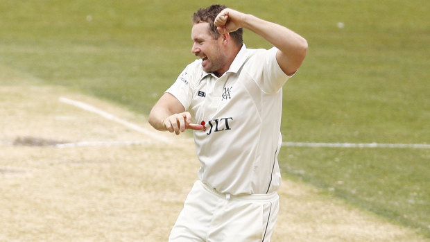In the groove: Spinner Jon Holland celebrates after dismissing Western Australia's William Bosisto.