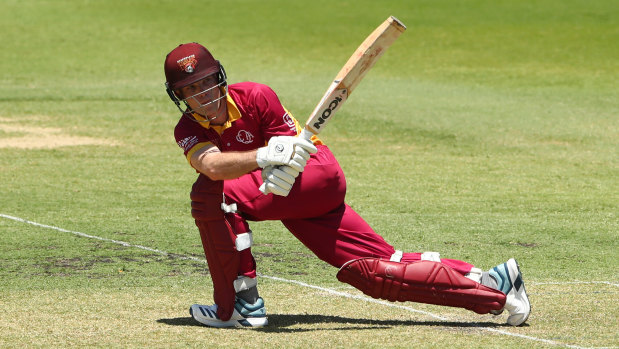 James Peirson of Queensland bats during the Marsh One Day Cup Final between Queensland and Western Australia at Allan Border Field on Tuesday.