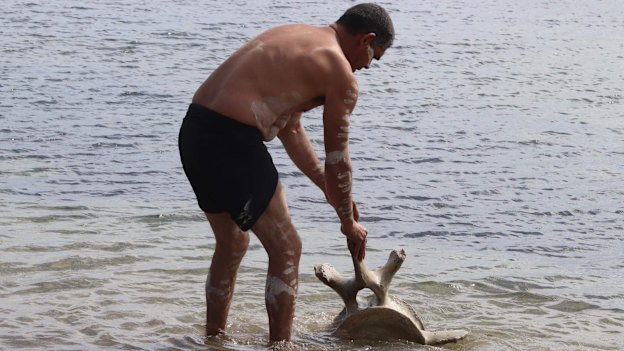 Gunditjmara man Shea Rotumah washing a whale bone.