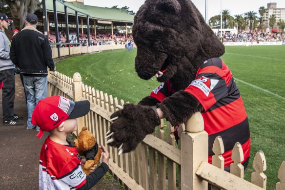 From one bear to another: Hopes are high North Sydney’s NRL exile is about to end.