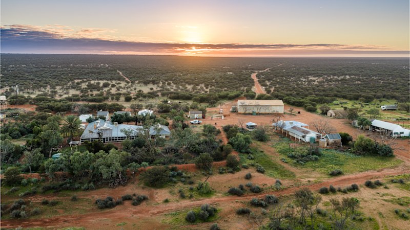 Once Palestinian refugee, now billionaire buys mega SA sheep station