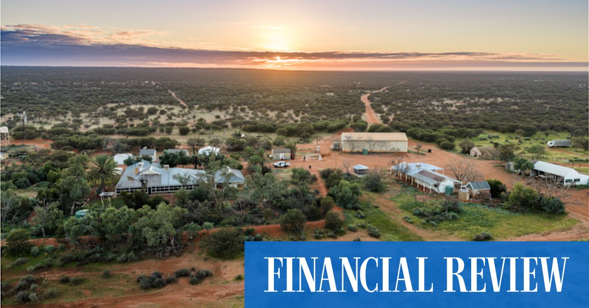 Adelaide Billionaire Buys Australia Largest Sheep Station Aggregation