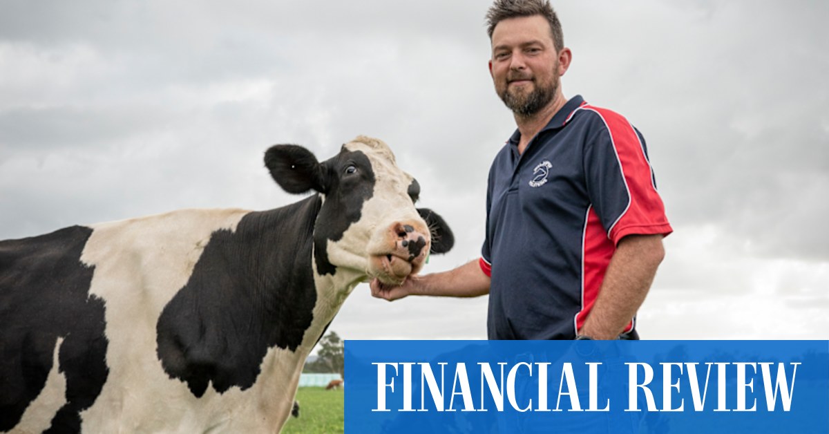 Australian dairy farming the most profitable it has been in a generation - Vimarsana News