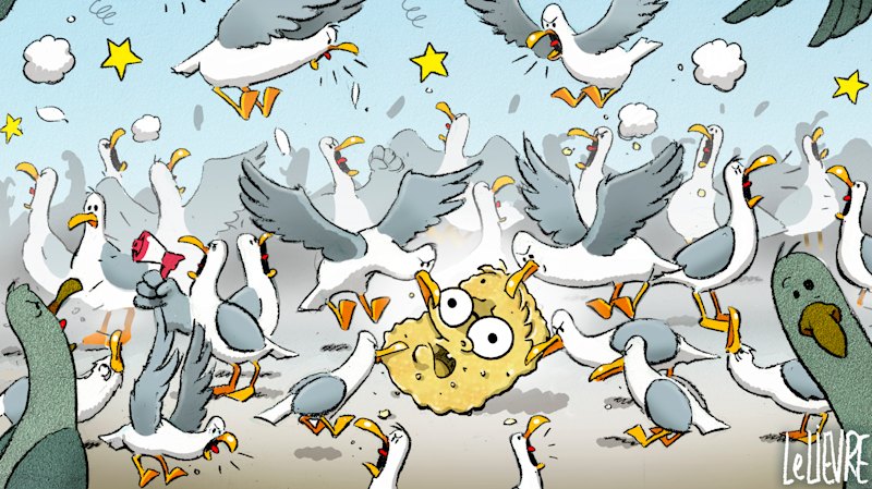 Best of cartoons, January 8, 2026