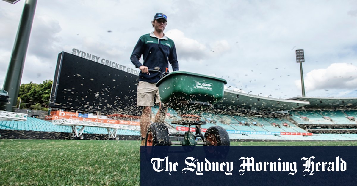 ‘Blown out of proportion’: SCG curator hits back at turf critics
