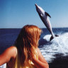 How a wild dolphin taught Melody Horrill to love and trust again