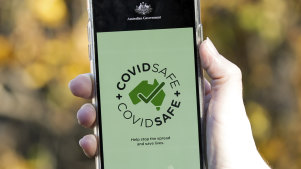 Queensland S Covid App Accessed A Million Times In A Fortnight