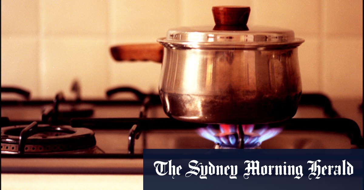 Ban on gas could ignite culture war says Liberal senator Andrew Bragg, urging battery bonus - Vimarsana News