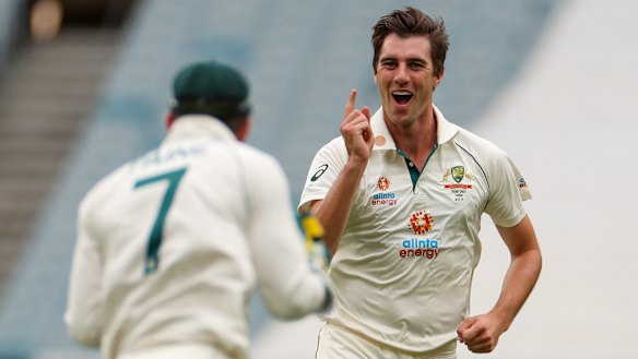 Pat Cummins is the hot favourite to succeed Tim Paine as Test captain.