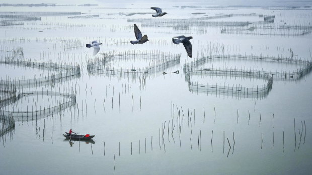 The technically accomplished Round Nets Farm by Zay Yar Lin depicts a man at work on the water in Xiapu, Fujian Province, China.