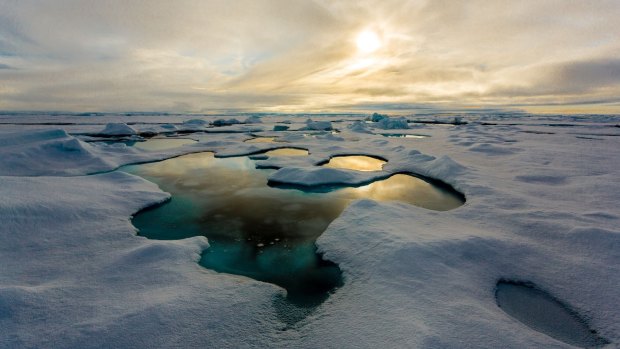 Tiny particles known as microplastics have been found in record levels in Arctic sea ice.