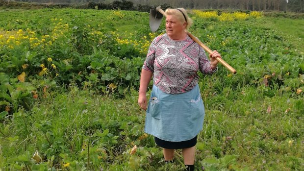 Hoedown: Dolores Leis in a field on her farm in Galicia in Spain.