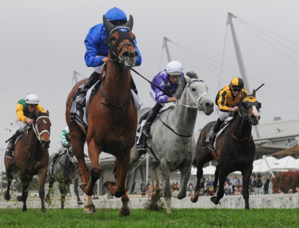 Wet is best: Home Of The Brave made every post a winner in the Theo Marks Stakes.