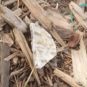 The compound material found by a local dad in Donald McLean Reserve that kicked off a park blitz around Melbourne.