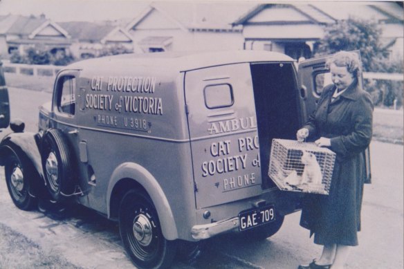 Helen Allchin pictured in 1953 with a Cat Protection Society of Victoria ambulance.