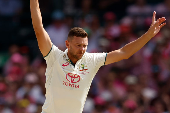 Happy days for Josh Hazlewood.