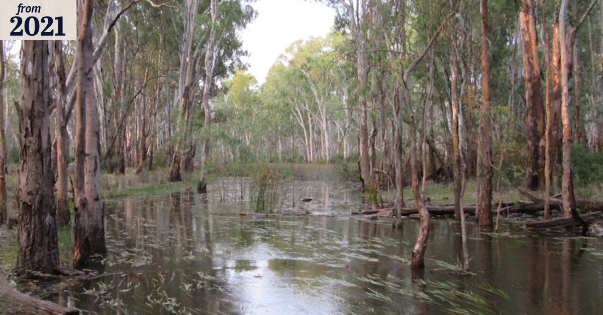 Legal powers for ‘tough cop’ water chief as rivers bounce back from drought