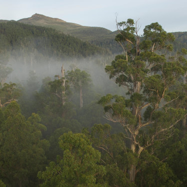 The Styx Valley in southern  Tasmania. Without climate action
by 2030, â€œwe walk into a world in which you have this cascade of tipping points of many different ecosystems,â€ says former UN 
climate chief Christiana Figueres.