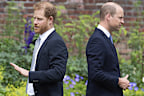 A book written by Earl Spencer, the uncle of Prince William and Prince Harry, about their late mother Diana, is only furthering tensions between the warring brothers.