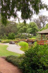 Have a break from the beach with a Japanese garden stroll if you’re on the Central Coast this summer.