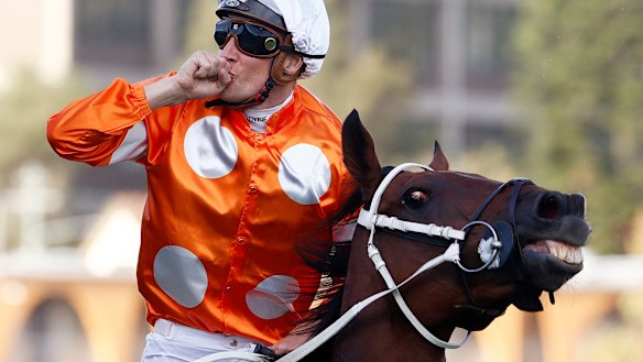 Drinks on me: Crowd favourite Who Shot Thebarman.