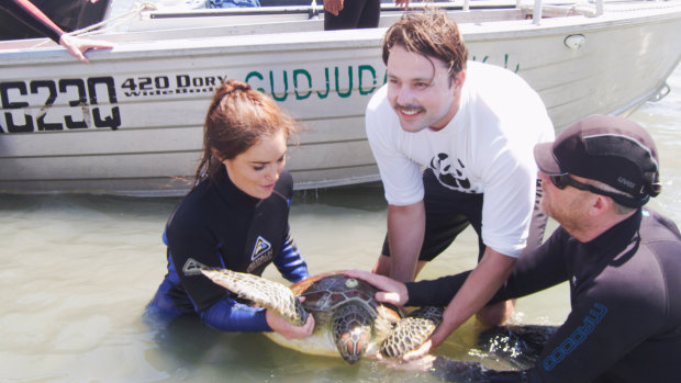 Mitch Taylor, the co-founder of Koala, is working on a project on Milman Island with the World Wildlife Fund.