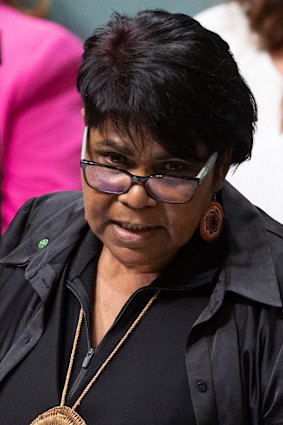 Labor MP Marion Scrymgour.