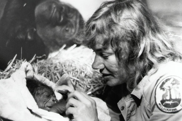 Weiher with baby Mzuri in 1984. His mother Yuska looks on. 